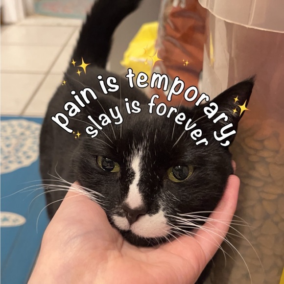 Meet The Posher!💋 - Picture 6 of 9